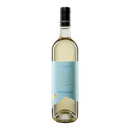 CORSOLE FIANO IGP 2021 CL 75 TREDANIELE