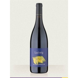 PINOT NERO LUDWIG A.ADIGE DOC '18 CL 75 ELENAWALCH