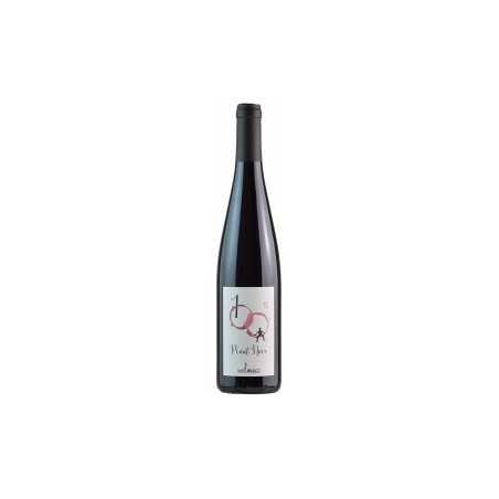 PINOT NOIR '19 CL 75  DOMAINE LOUIS MAURER