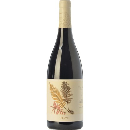 FENTO TINTO  '19 CL 75  - SPAGNA