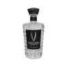VOLCANO DRY GIN  ETNA  41° CL 70