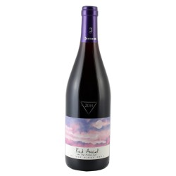 RED ANGEL PINOT NERO IGP JERMANN LT 3