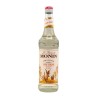 SCIROPPO ZUCCHERO CANNA LT 1  MONIN
