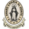 AMARO S. MARIA AL MONTE 40% VOL. 100 CL.