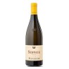 CHARDONNAY SOPHIE '20 DOC CL 75 MANINCOR