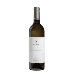 PINOT GRIGIO 2021 CL 75 DE PUPPI
