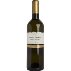 PINOT BIANCO  A. ADIGE DOC CL 75 ELENA WALCH