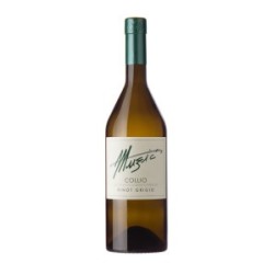 PINOT GRIGIO DOC COLLIO 2021- MUZIC -