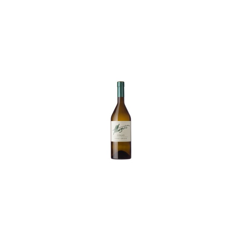 PINOT GRIGIO DOC COLLIO 2021- MUZIC - PINOT GRIGIO DOC COLLIO 2021- MUZIC -