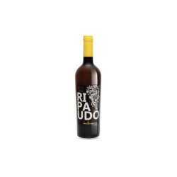 RIPAUDO COLLI SALERNO IGP '19 CL 75 MACELLARO