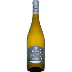 SAUVIGNON TRENTINO DOC 2021 CL 75 GAIERHOF