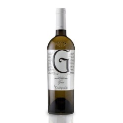 GRECO DI TUFO "G" IGP CL 75 CELEBRATION
