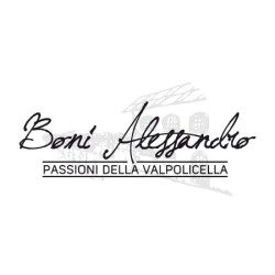 RIPASSO VALPOLICELLA SUPERIORE '19 lt 1,5  BONI