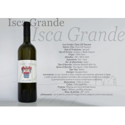 FIANO IGP ISCA GRANDE '21 CL 70 CARDONE