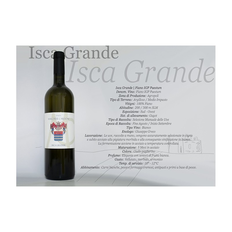 FIANO IGP ISCA GRANDE '21 CL 70 CARDONE FIANO IGP ISCA GRANDE '21 CL 70 CARDONE