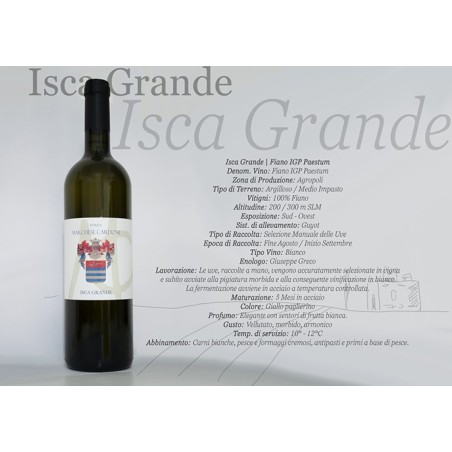 FIANO IGP ISCA GRANDE '21 CL 70 CARDONE