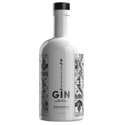 GIN DELL' ETNA 42° 1 LT MAGIANTOSA