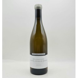BOURGOGNE HAUTES COTES DE BEAUNE '20 B.COLIN