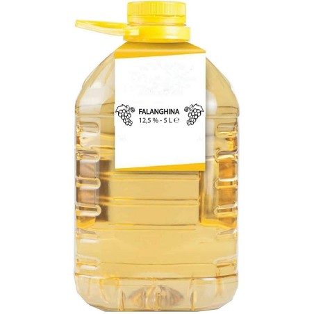 VINO FALANGHINA IGP 2021 LT 5 VETRO CARDOSA