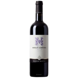 MERLOT CORVINA IGT '2021 CL 75 SANTA SOFIA