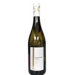 FALANGHINA CAMPANIA DOC CL 75 SABATINO MARIANO