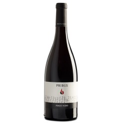PINOT NERO DOC 2021 CL 75 PRIBUS