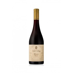 PINOT NOIR A.A. DOC '21 CL 75 CASTEL SALLEGG