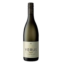 VERUS SAUVIGNON  2022 CL 75 - SLOVENIA