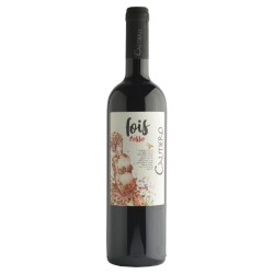 FOIS AGLIANICO CAMPANIA IGP 2019 CL 75 CAUTIERO
