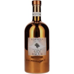 BACUR GIN 40° LT 4,5 BOTTEGA