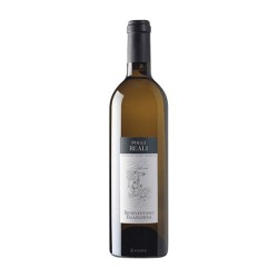 MARSELLA FALANGHINA IGT 2021 CL 75