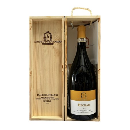 FIANO DI AVELLINO DOCG '23 LT 1,5  BECHAR CAGGIANO