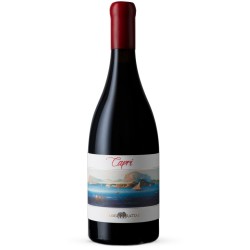 CAPRI VINO ROSSO DOP 2020 CL 75 FRATTASI