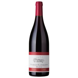 PINOT NERO GOTTARDI 2019 CL 75