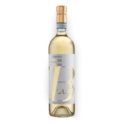CERETTO ARNEIS BLANGE' DOC 2023 CL 75
