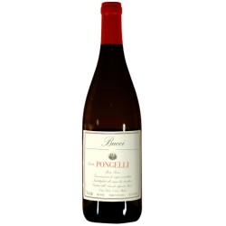 ROSSO PICENO PONGELLI DOC 2019 CL 75 BUCCI