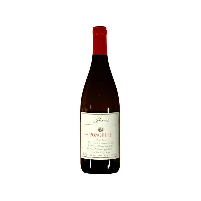 ROSSO PICENO PONGELLI DOC 2019 CL 75 BUCCI