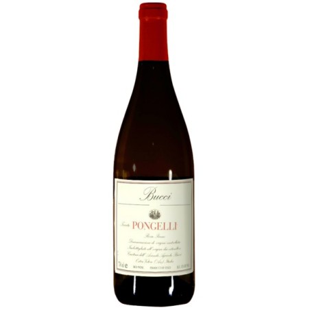 ROSSO PICENO PONGELLI DOC 2019 CL 75 BUCCI