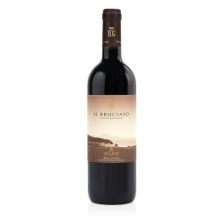 IL BRUCIATO BOLGHERI DOC 2023 CL 75