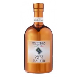 BACUR GIN 40° CL 50 BOTTEGA