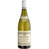 BOURGOGNE BLANC '23 RETOUR FLANDERS CL 75 REGNARD