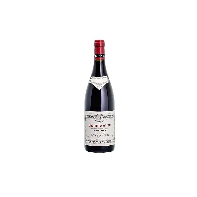 BOURGOGNE PINOT NOIR '23 CL 75 REGNARD BOURGOGNE PINOT NOIR '23 CL 75 REGNARD