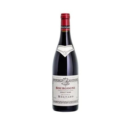 BOURGOGNE PINOT NOIR '23 CL 75 REGNARD