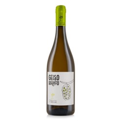 GELSO BIANCO IGP 2024 CL 75 TENUTA I GELSI