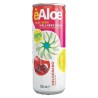 ALOE MELOGRANO ML 250 X 12 LATTINA DECA FOOD