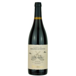 SERRA MOLINO PAESTUM AGLIANICO IGT '21 MASTROBERAR