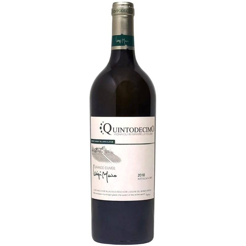 QUINTODECIMO GRAND CUVEE DOC '22  LUIGI MOIO CL.75