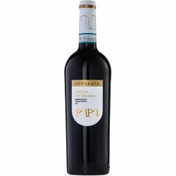 FALERNO DEL MASSICO PRIMITIVO DOP '22 CONCLAVE
