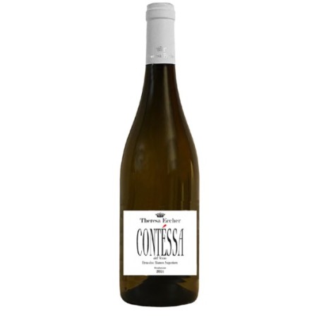 CONTESSA DEL VENTO ETNA BIANCO DOC '23 CL75 ECCHER