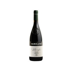LANGHE DOC NEBBIOLO '22 CL 75 DAMILANO